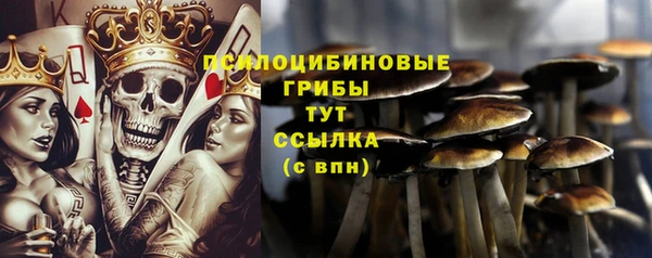 MDMA Медногорск
