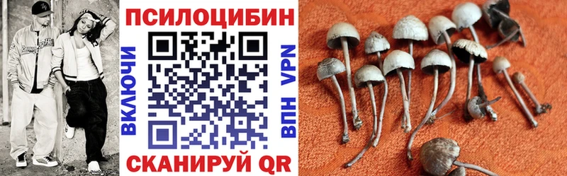 Галлюциногенные грибы Magic Shrooms  Купить закладки  Мирный 